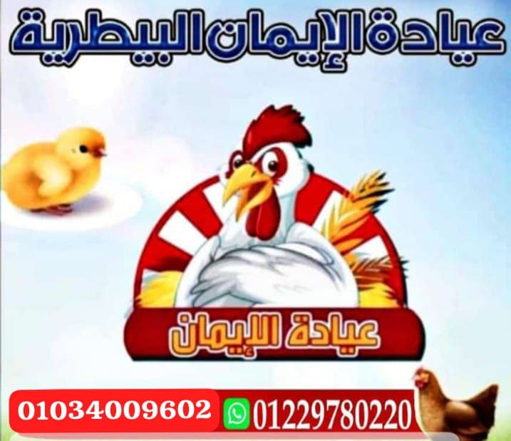 عياده الايمان البيطريه