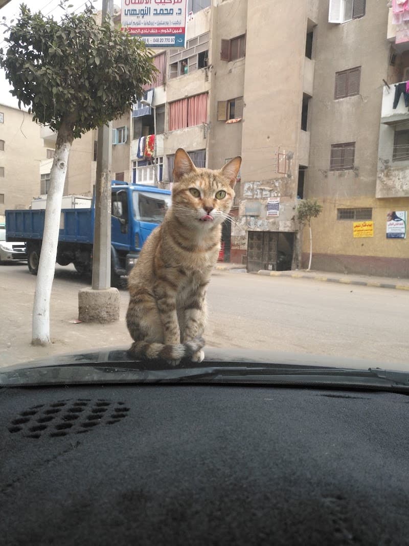 El Eslamia For Veterinarian Medicines