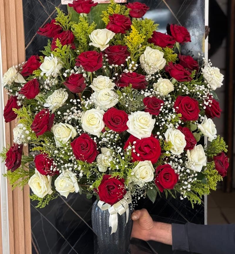 زهور فجر Nehad