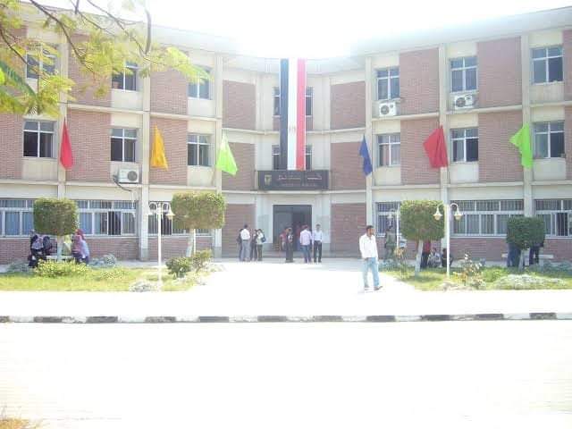 Technical institute of nursing. Elminya.