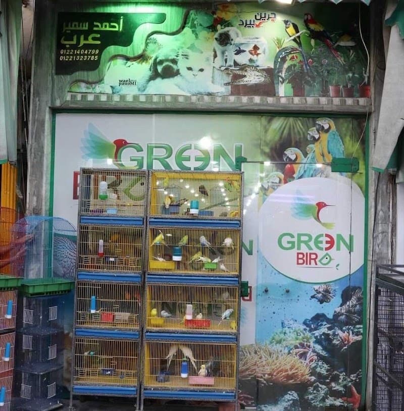 جرين بيرد
