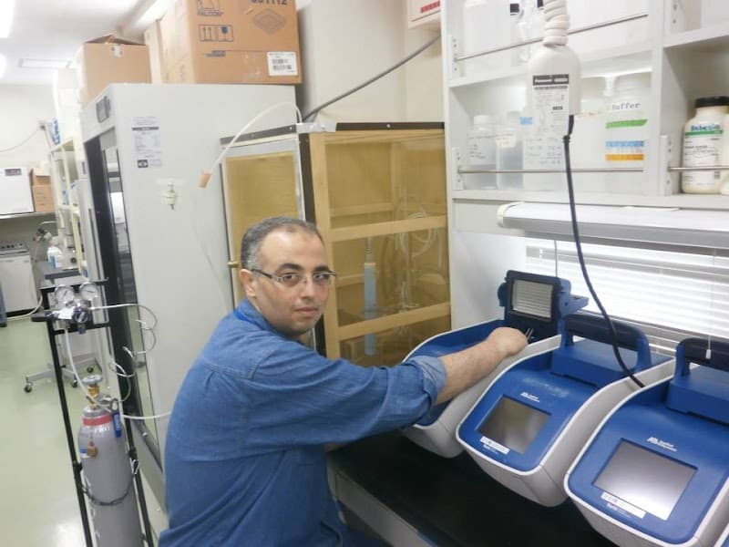 Professor Dr. Ahmed Mahmoud Al-Saifi