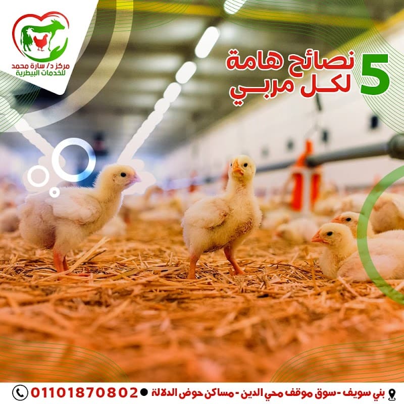 مركز د/ سارة محمد للخدمات البيطرية