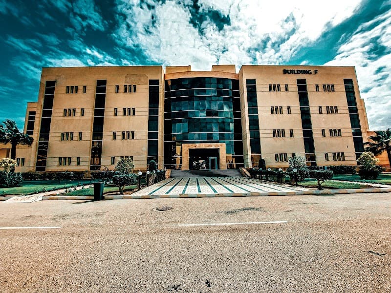Sinai University (Arish Branch)