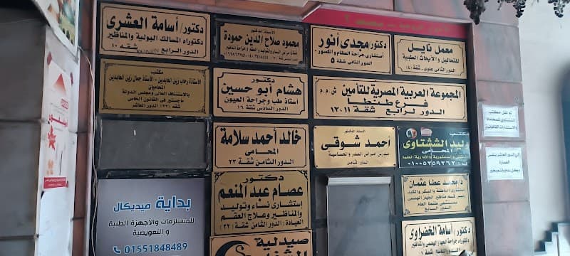 المجموعة العربية المصرية للتأمين - جى اى جى
