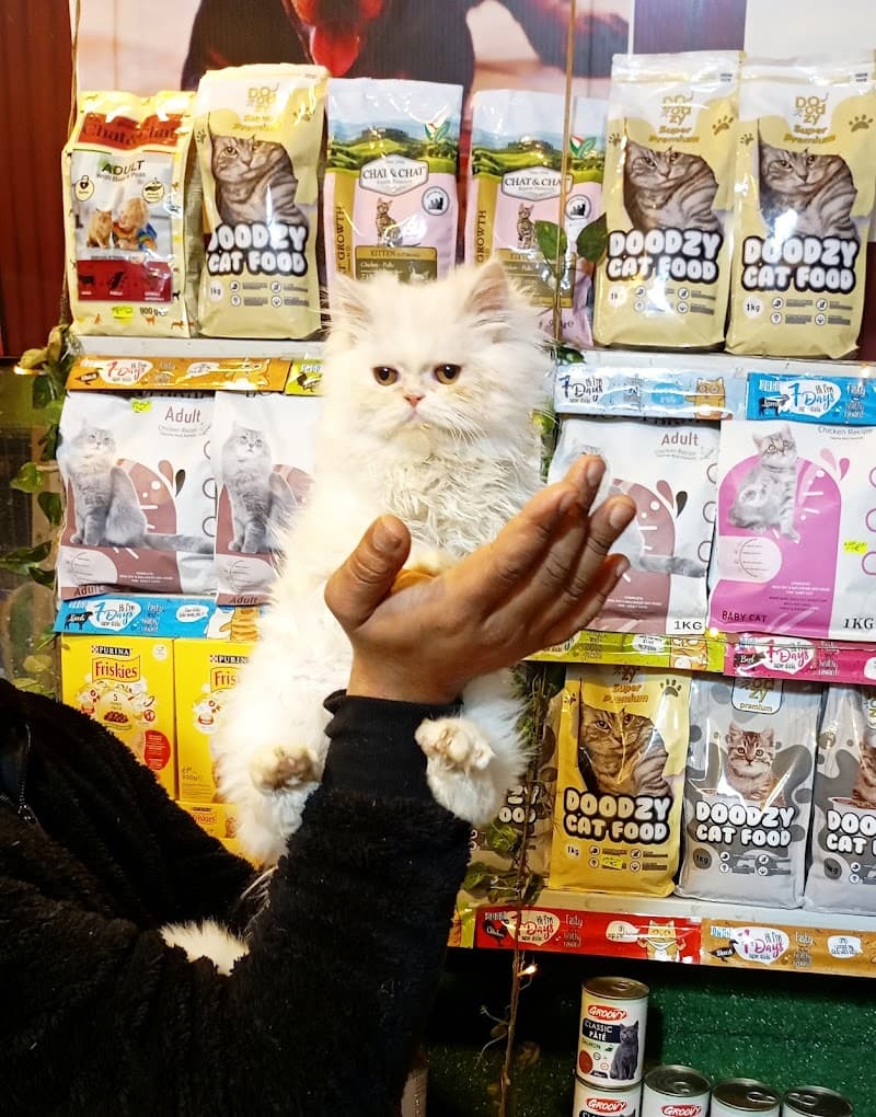 For pets - selling cat and dog food
