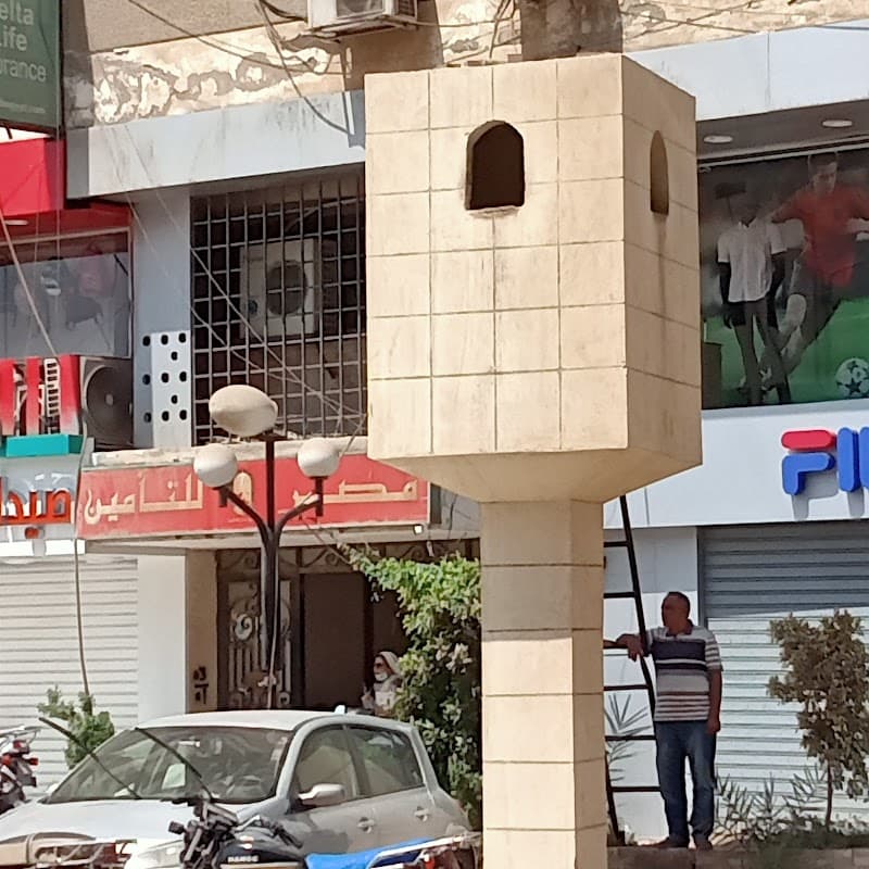 عمارة التأمين بالفيوم