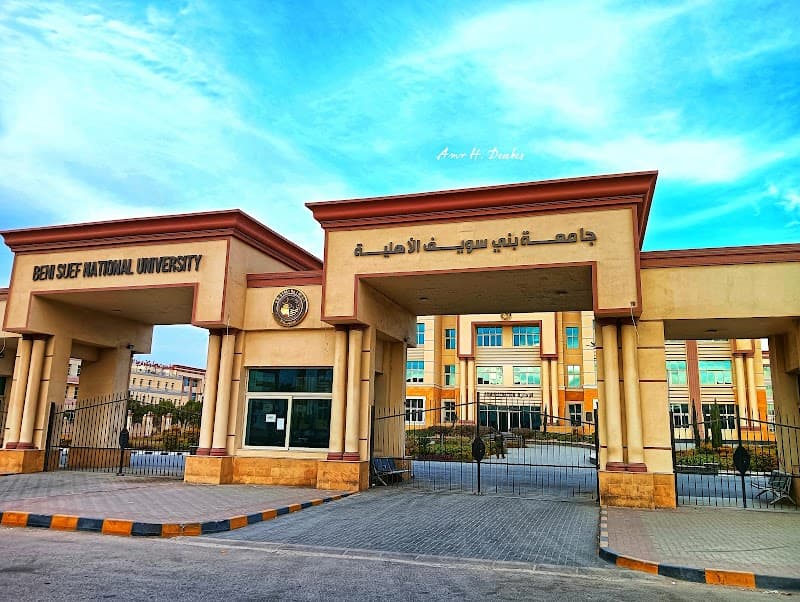 Beni-Suef National University