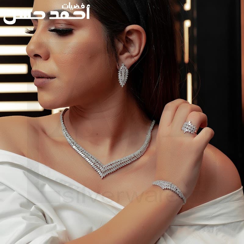 فضيات احمد حسن
