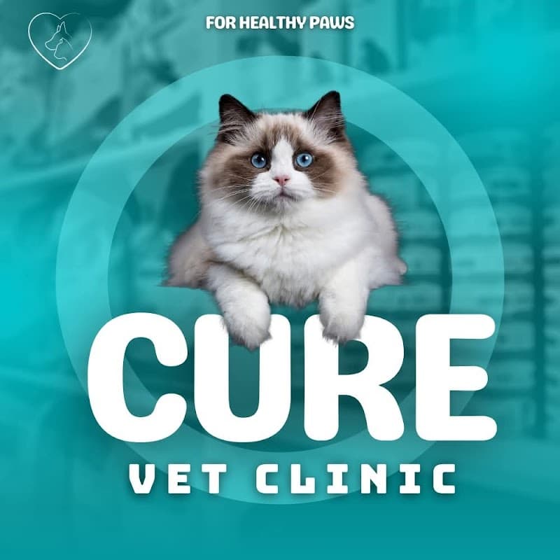 Cure Vet clinic