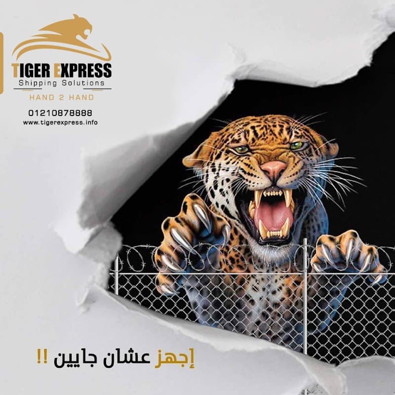 تايجر اكسبريس