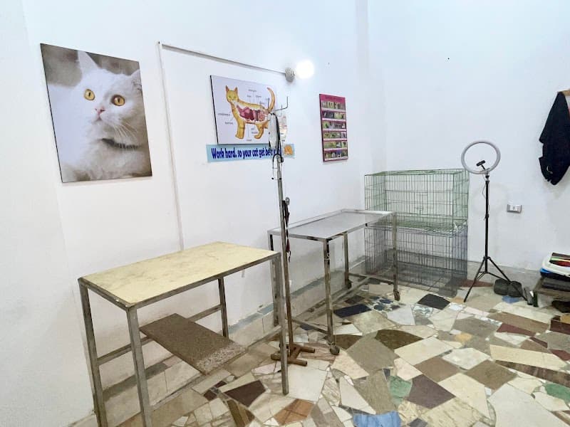 المركز البيطري | Meow Clinic