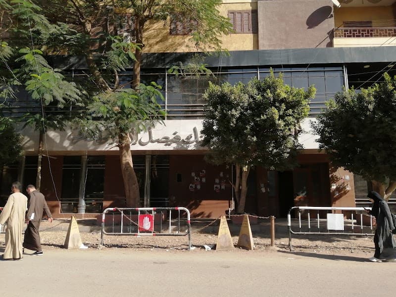 Faisal Islamic Bank Of Egypt
