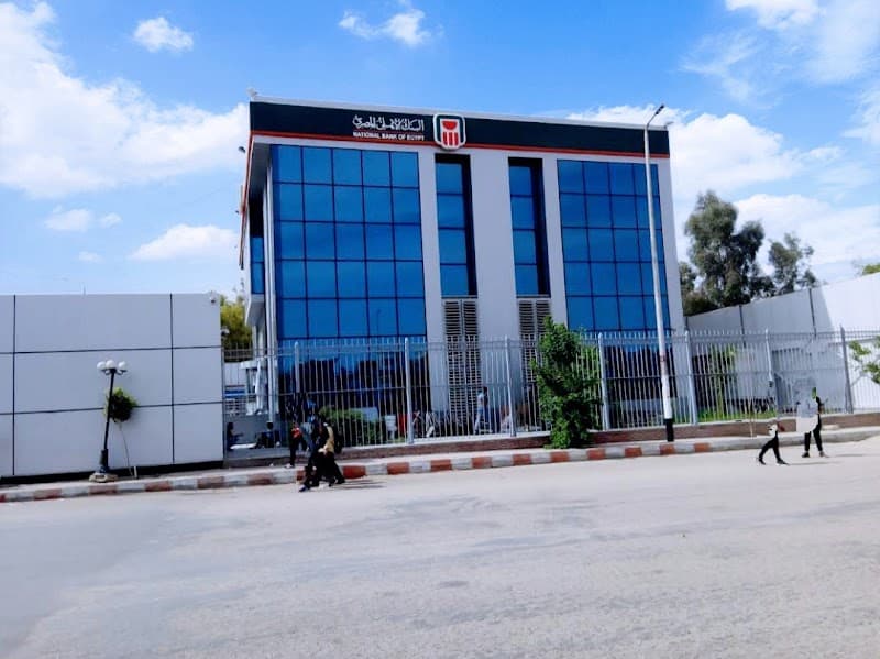 NBE South Valley University Branch
