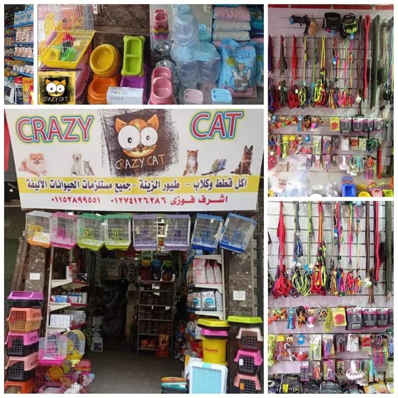 Crazy cat pets sho