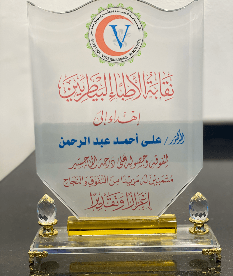 عيادة ايجى فيت البيطرية