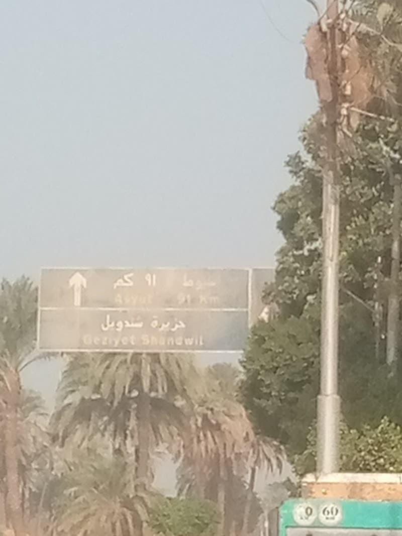 قاعة سيتى بارتى بجذيره شندويل