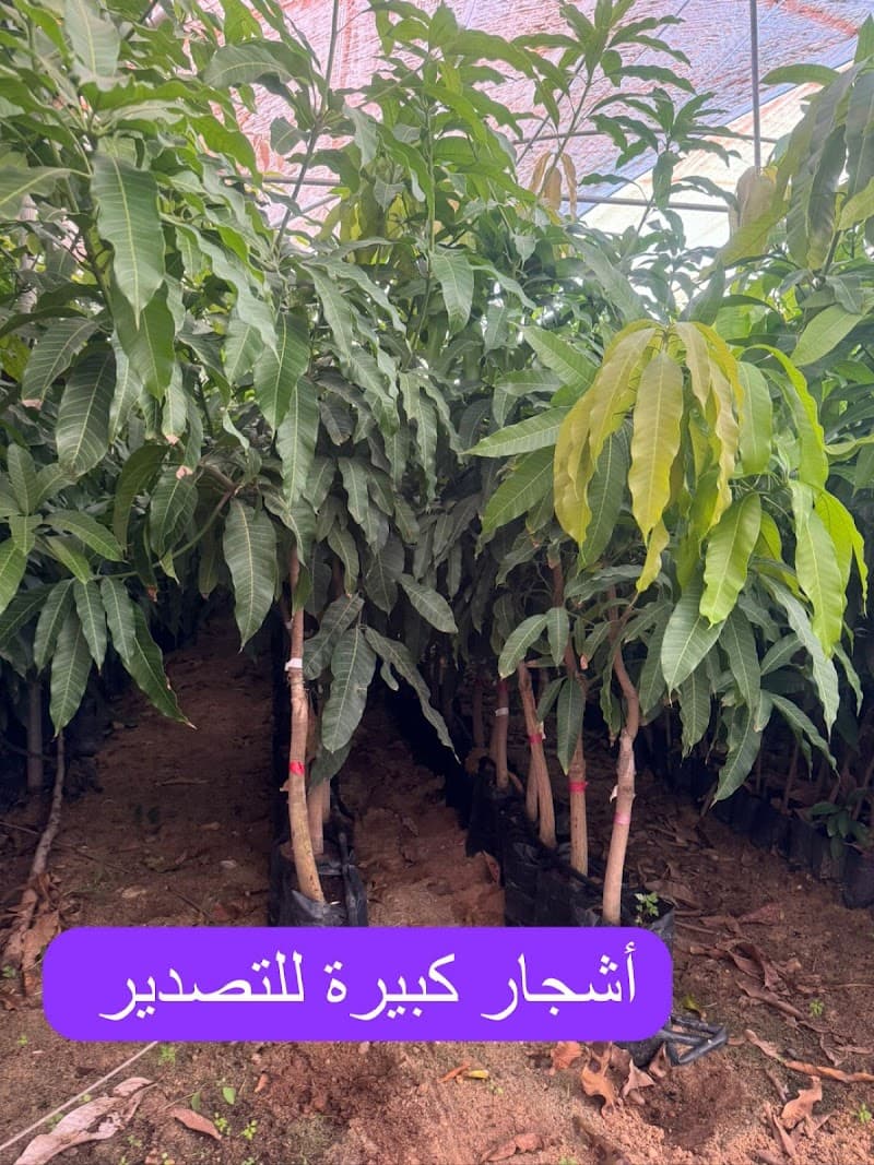 Elite Agricultural Development