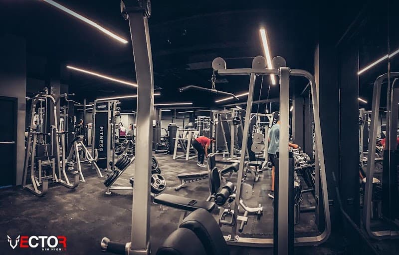 Vector Gym