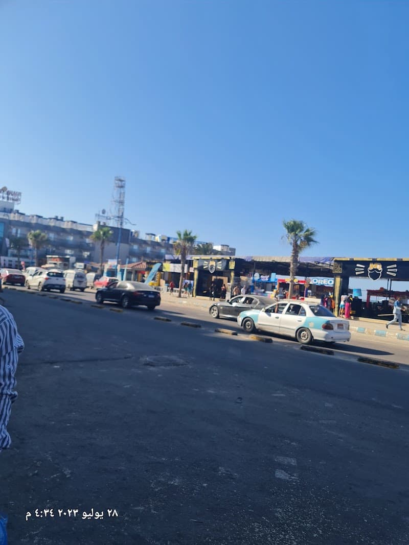 شارع اسكندريه